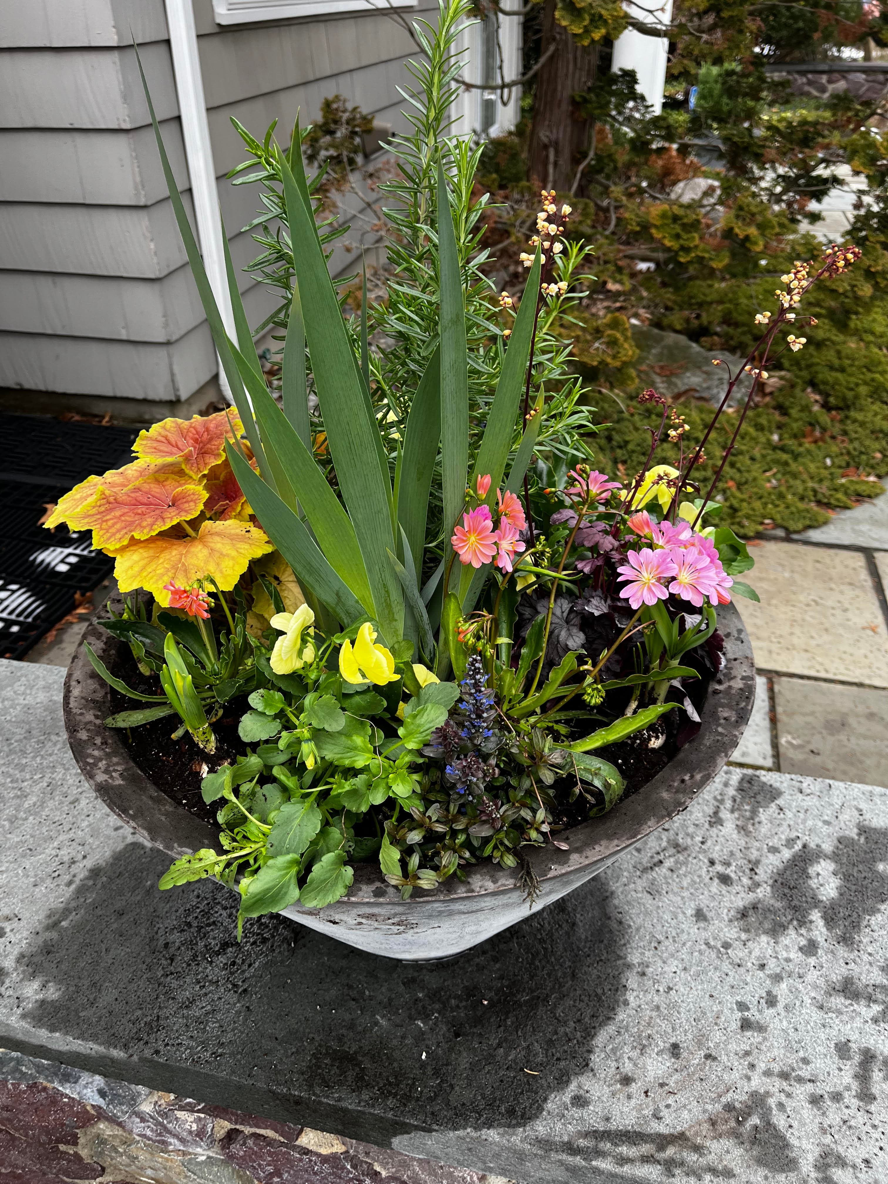 Fall window box arrangement