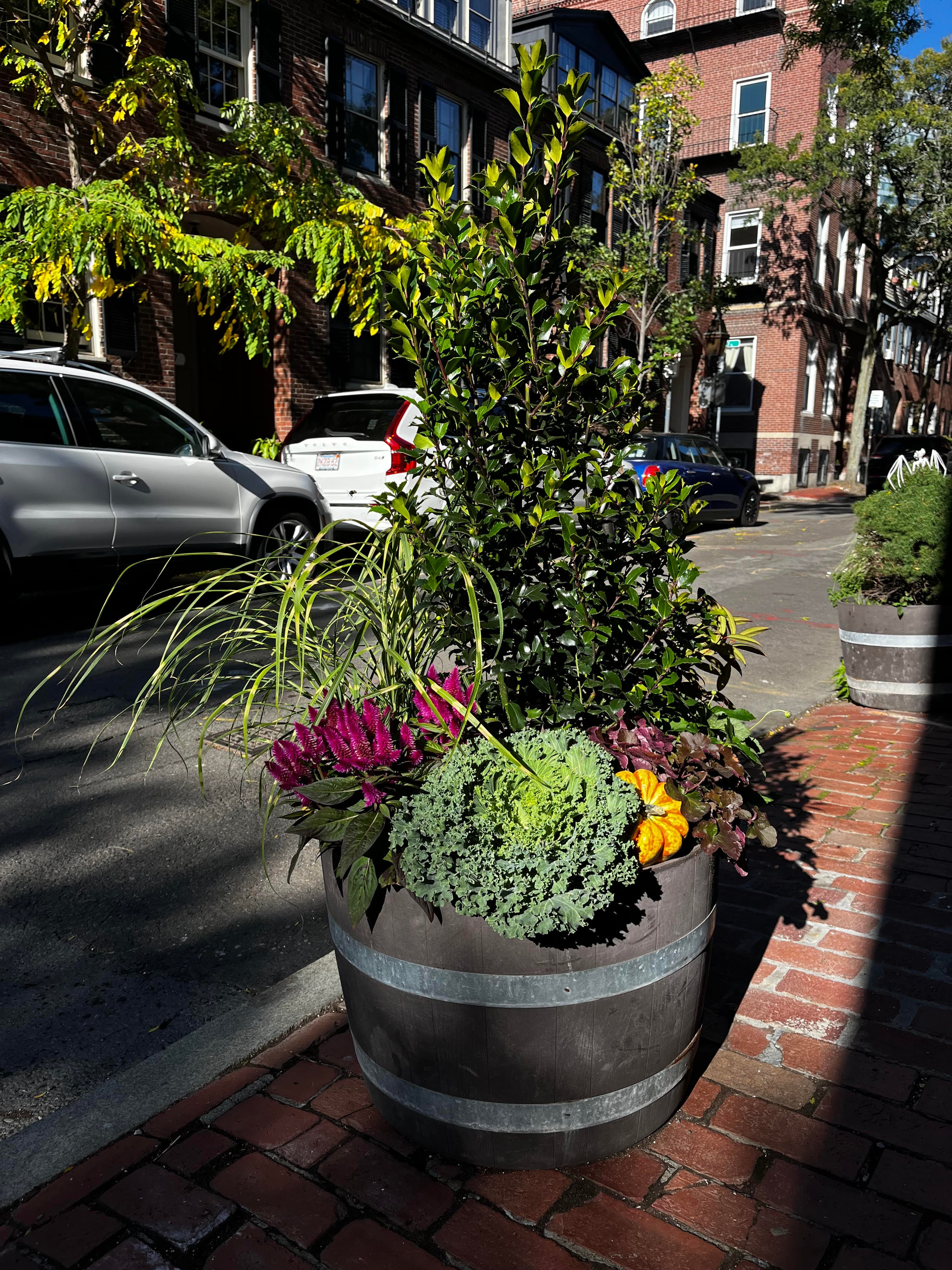 Beautiful garden with blooming flowers