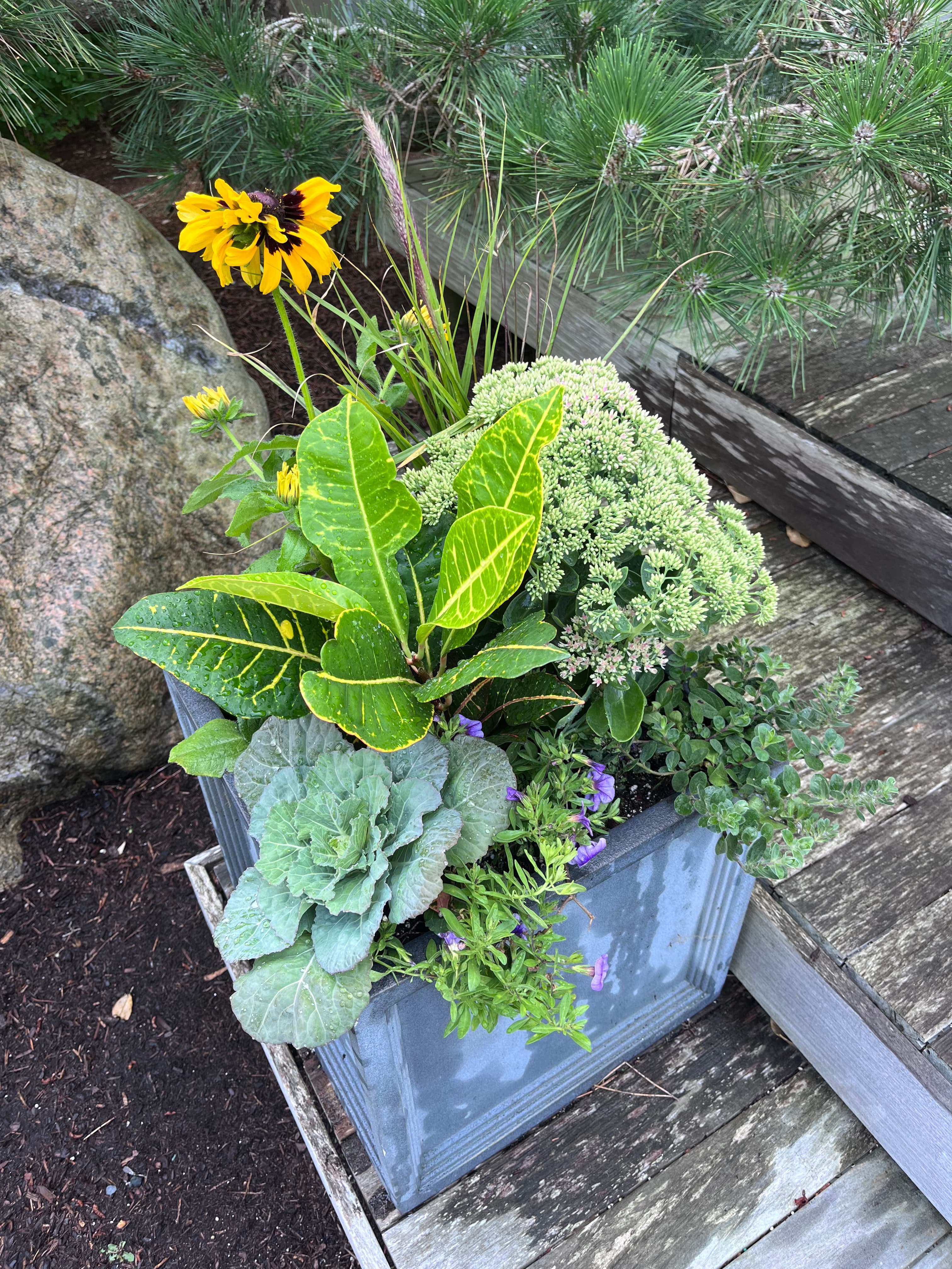 Colorful spring window box arrangement